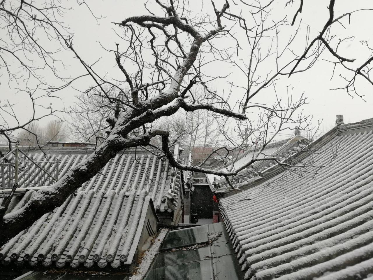 Beijing Fly By Knight Courtyard酒店 外观 照片